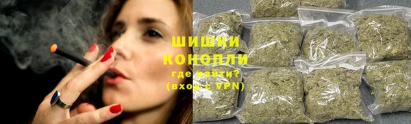 эйфоретик Покачи