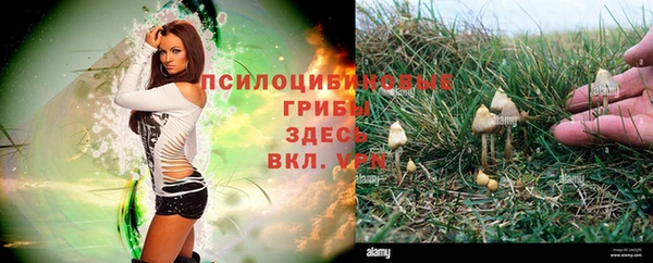 MESCALINE Баксан